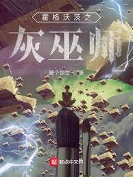 (HP同人)霍格沃茨之灰巫师